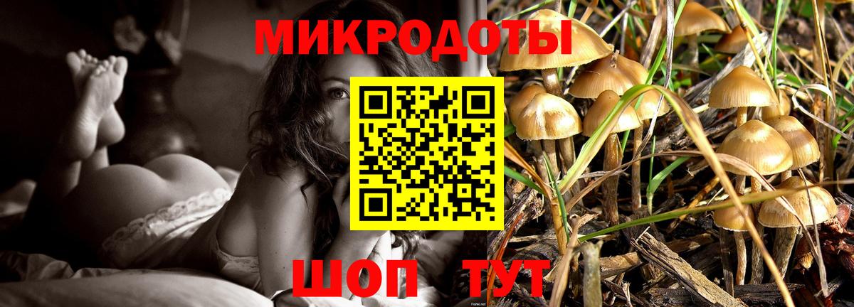 Корсаков  Псилоцибиновые грибы Psilocybe  Вход с VPN 